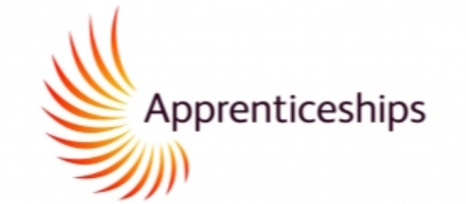 Searching for Apprenticeship Opportunities